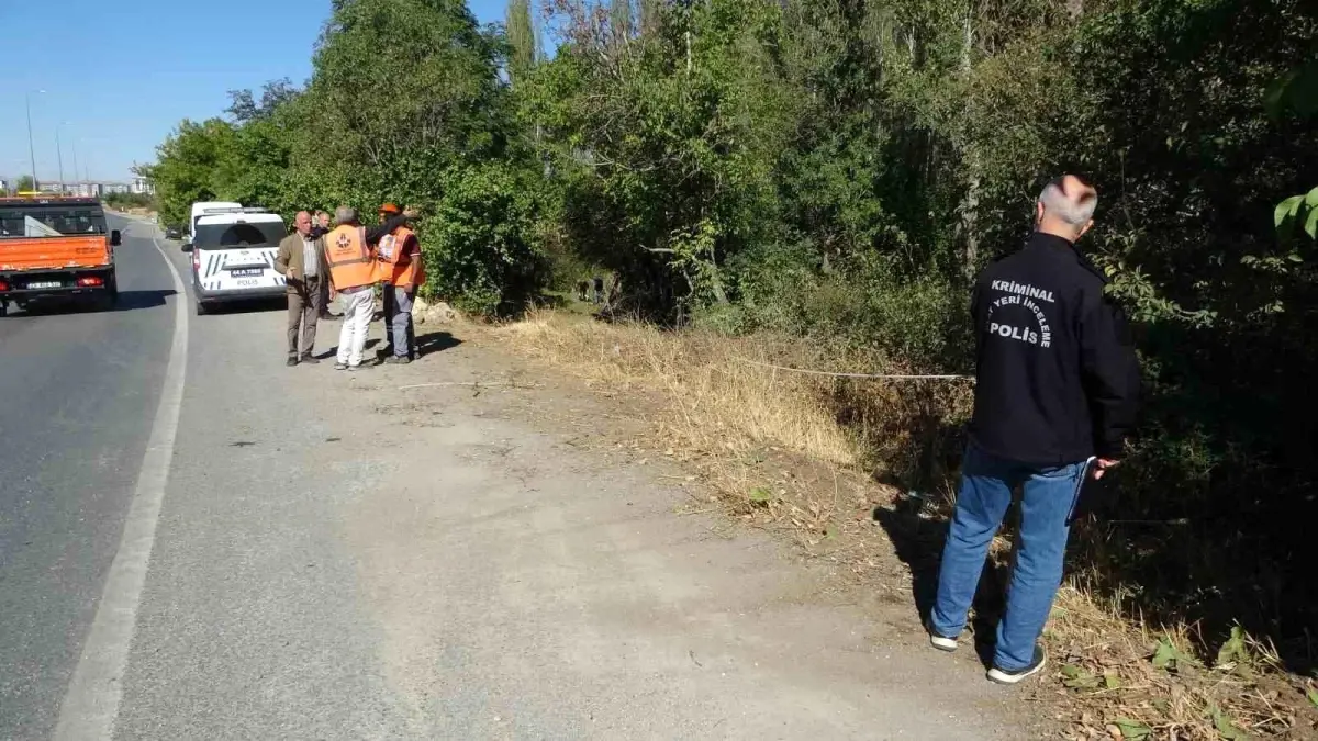 malatyada otomobil kayisi bahcesine uctu 1 yarali 6zBe8z8P.jpg