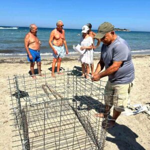 Didim’de ikinci caretta yuvası koruma altına alındı
